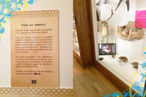 Museomix au Museum d’Histoire Naturelle museomix3