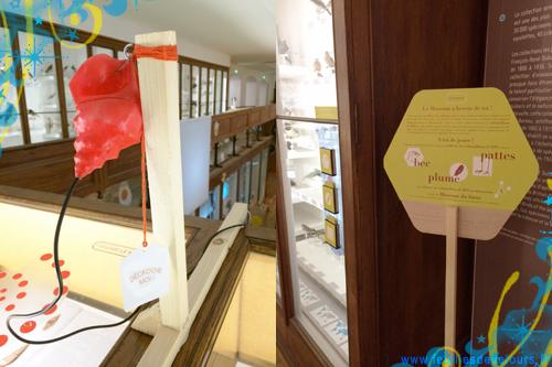 Museomix au Museum d’Histoire Naturelle museomix2