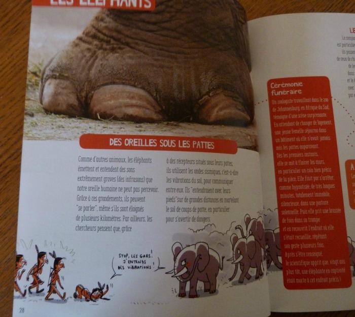Deux albums jeunesse.. pas bêtes du tout!! pas b+¬te 3