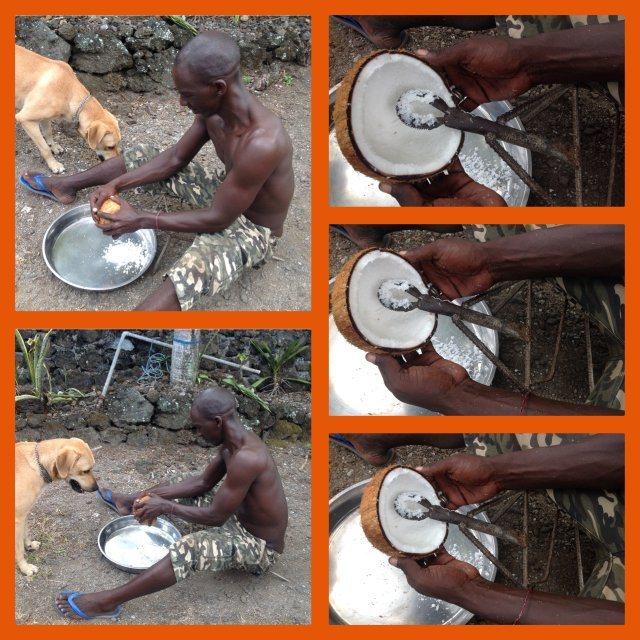 Le lait de coco préparation du lait de coco