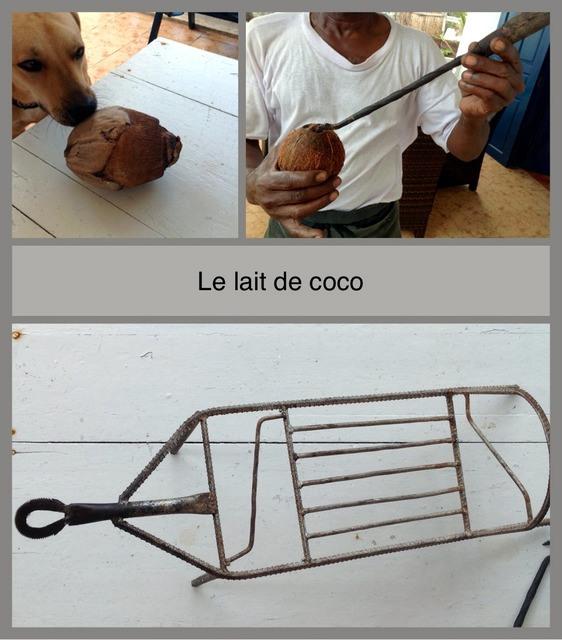 Le lait de coco lait de coco