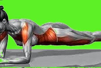 exercices de musculation du périnée