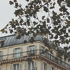 LOUPLY’S MONTH 14 IMG_20141022_110321