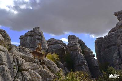 Part 3 : En route vers la péninsule Ibérique. Laure et Faleg con