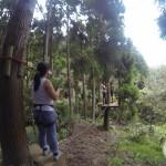 Accrobranche à la Réunion : la Forêt de l’Aventure