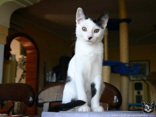 kitler1606