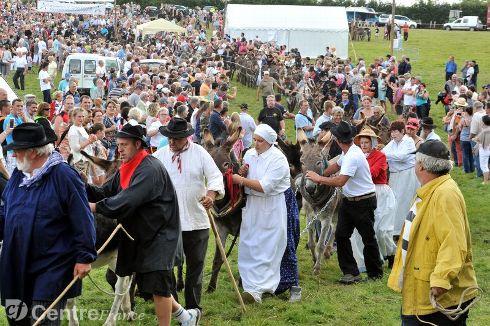 Le plus grand nombre d’anes attelés en ligne attelage en ligne d anes