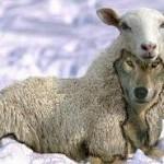 GENTIL ET BIEN DANS LA PEAU jugerapparences