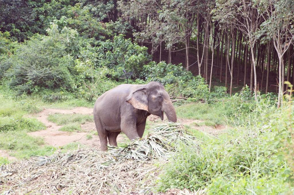 Thaïlande – Koh Lanta Les Petits Riens Thailande Koh Lanta