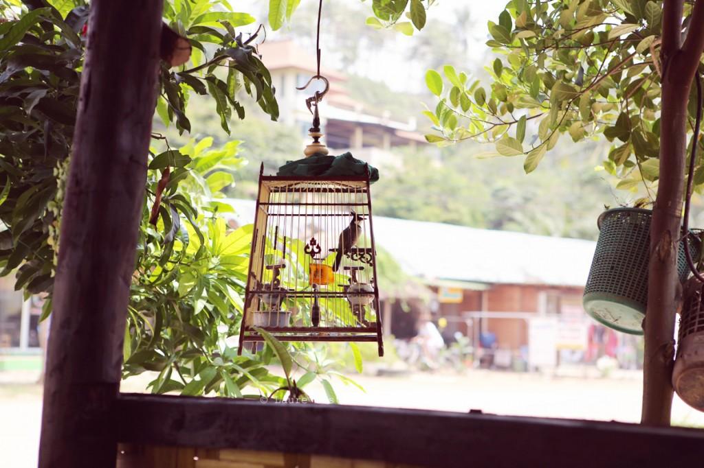 Thaïlande – Koh Lanta Les Petits Riens Thailande Koh Lanta