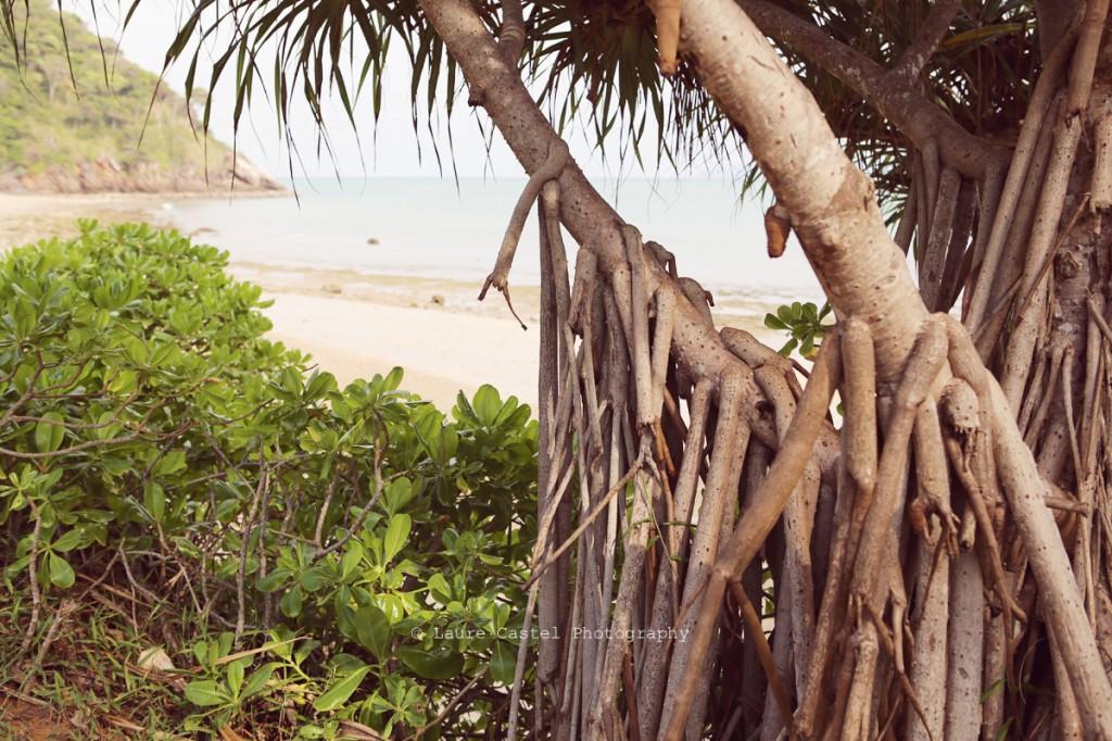 Thaïlande – Koh Lanta Les Petits Riens Thailande Koh Lanta parc national