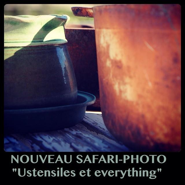 Défi Nouveau safari (12 novembre)