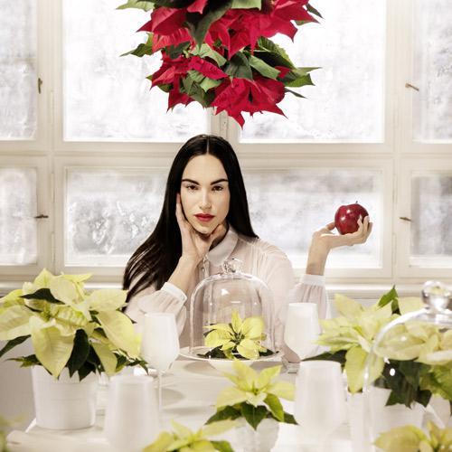 STARS FOR EUROPE : Pour fêter l’étoile de Noël le 12 décembre en France, fleuristes, jardineries et producteurs-détaillants ont instauré la journée nationale du Poinsettia STARS FOR EUROPE : Pour fêter l’étoile de Noël le 12 décembre en France, fleuristes, jardineries et producteurs-détaillants ont instauré la journée nationale du Poinsettia