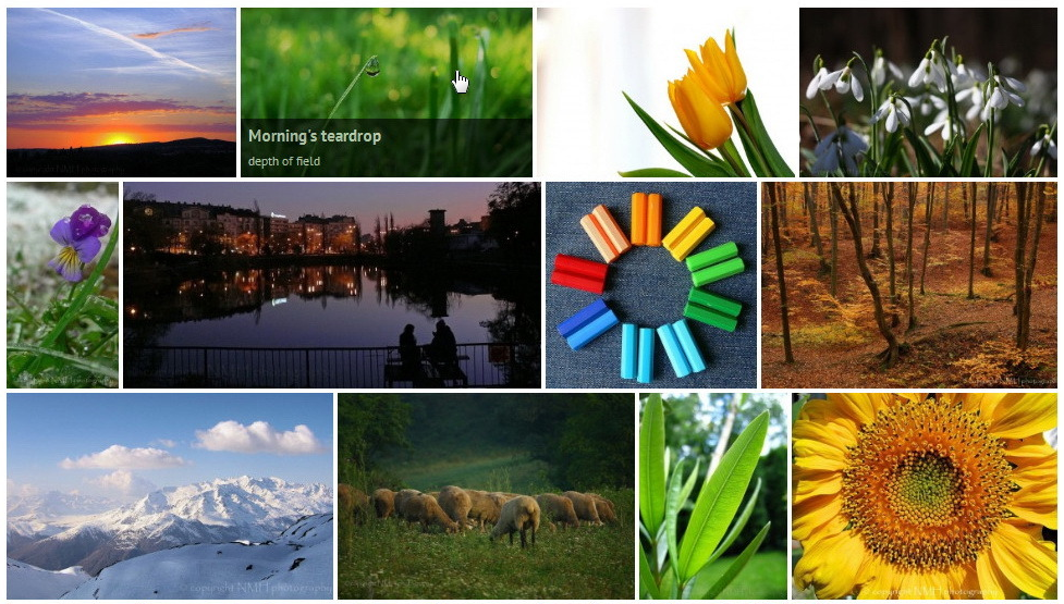 10 Meilleurs Plugins de Galeries d’Images et Vidéos WordPress (les « bestof » CodeCanyon) galerie wordpress en grid