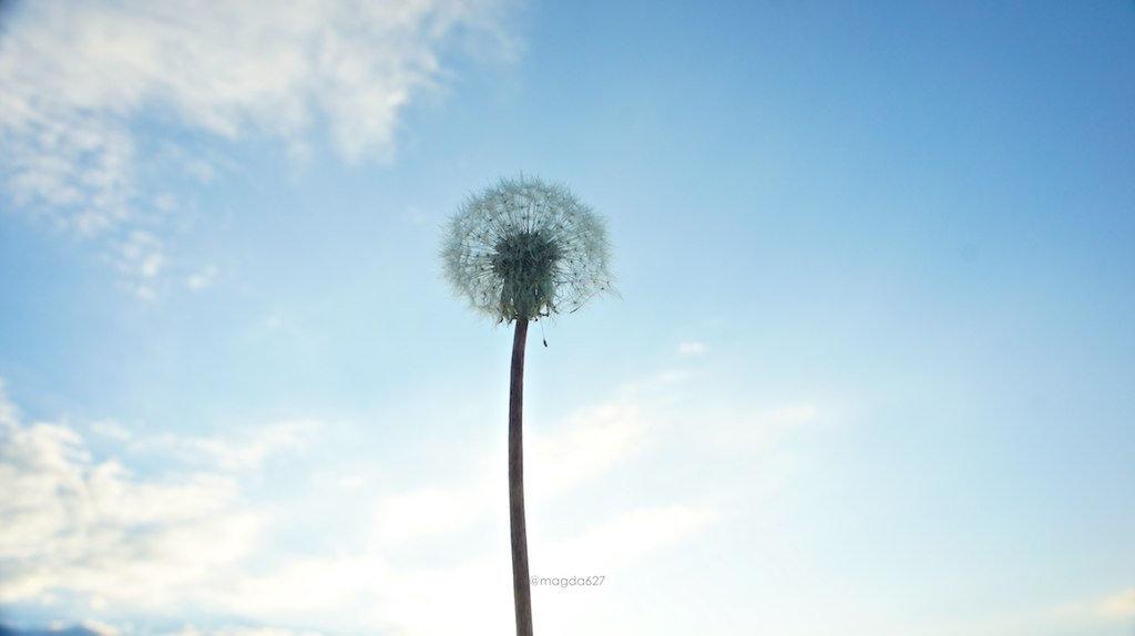 Petit coin du ciel #6 anteketborka.blogspot.com, ciel 64