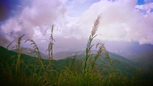 Thailand Mountain Trail,  édition zéro, trois jours à travers jungle et montagnes!