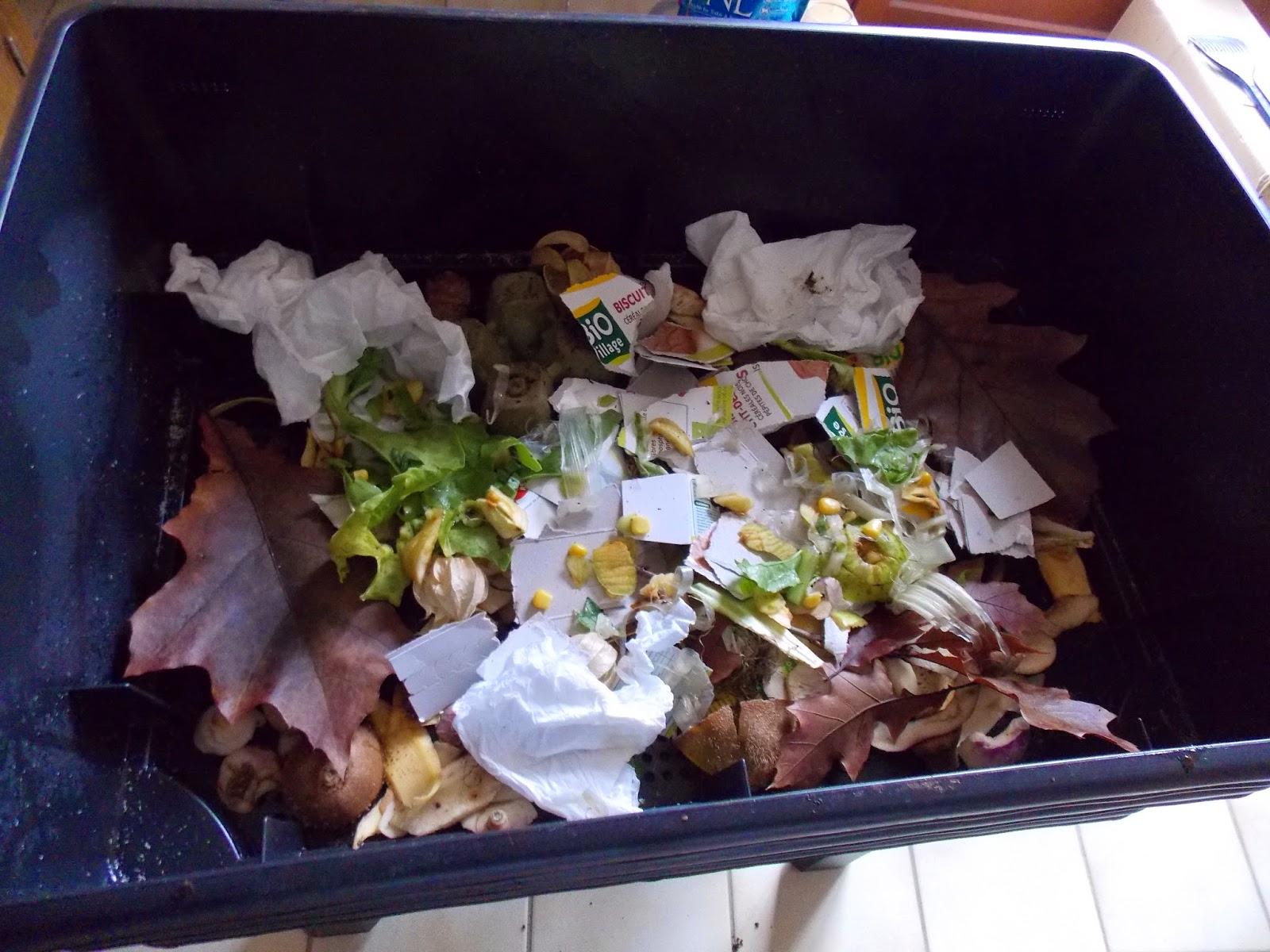 Vermicompostage, famille témoin partie 4 : quelques nouvelles Vermicompostage, famille témoin partie 4 : quelques nouvelles