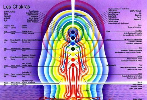 L'Illumination : La pensée n’est-elle pas indispensable pour survivre en ce monde ? L'Illumination : La pensée n’est-elle pas indispensable pour survivre en ce monde ?