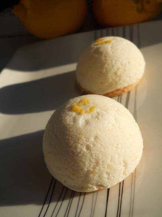 Tarte au citron revisitée DSCN4376