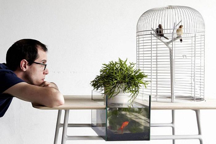 Turia la table aquarium déconnectée par Maxime Mellot