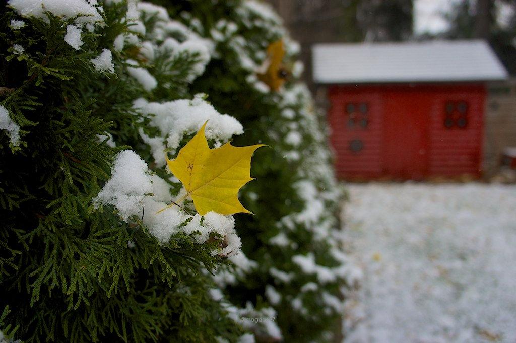 Et m***e : il a neigé ce week-end ! anteketborka.blogspot.com, first snow 4