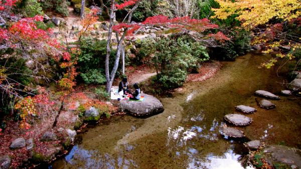 Le Livre du thé IMG_0998