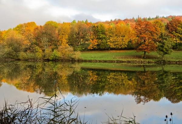 Reflets d'automne