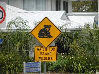 Du Platypus de Bombala aux Koalas de Raymond Island Du Platypus de Bombala aux Koalas de Raymond Island