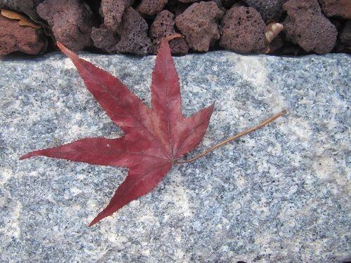 Les couleurs de l'automne Les couleurs de l'automne