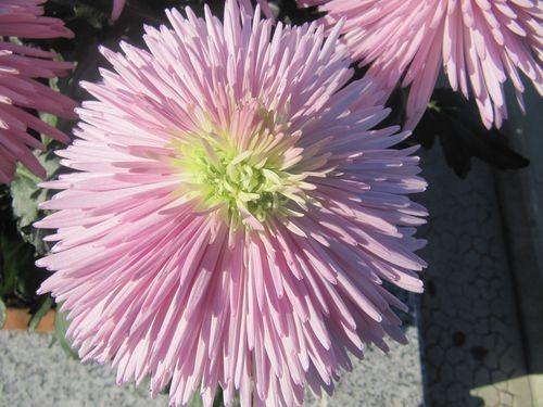 Les couleurs de l'automne Les couleurs de l'automne