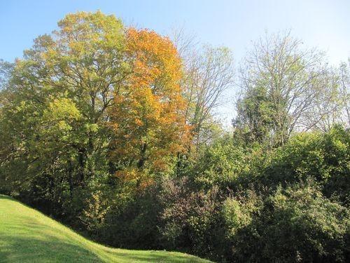 Les couleurs de l'automne Les couleurs de l'automne