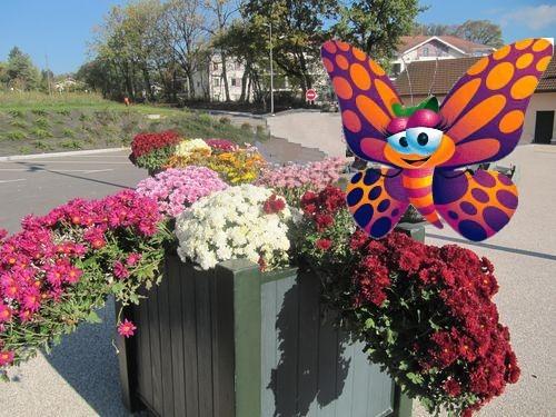 Les couleurs de l'automne Les couleurs de l'automne