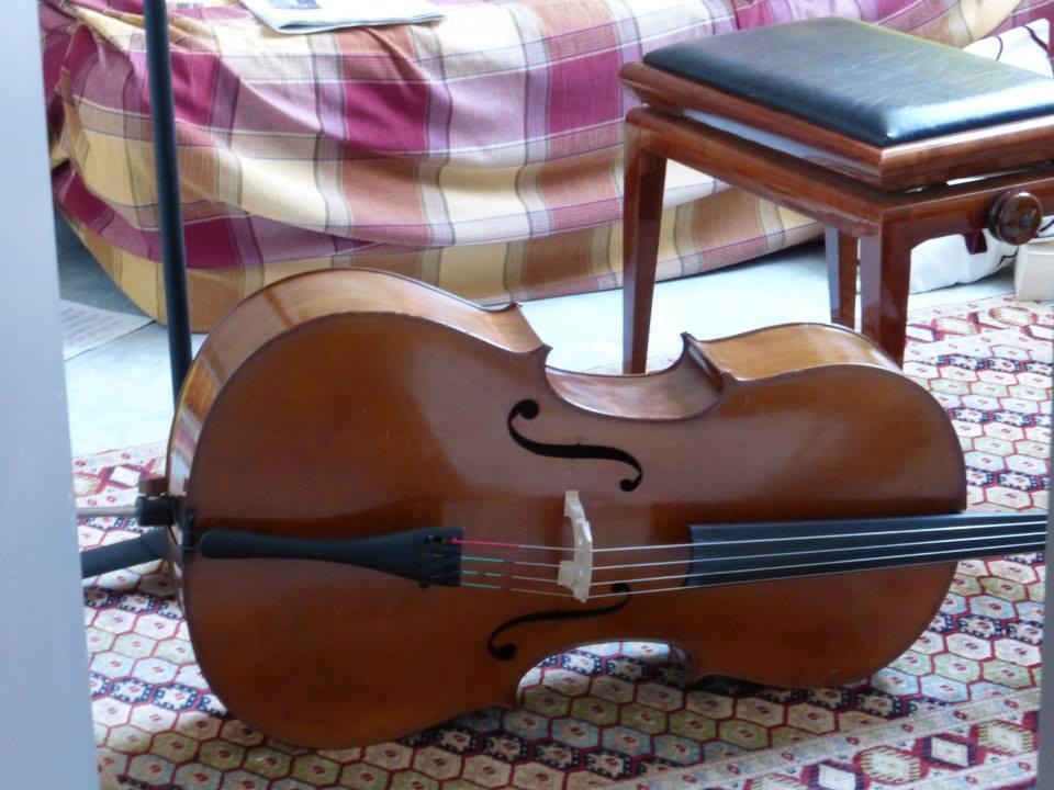 La fille au violoncelle