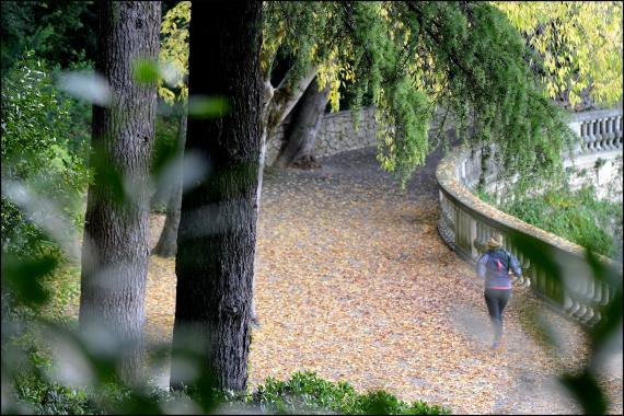 Semaine d'expo Jardins de la Fontaine, Nîmes, Parcs, Jardins publics, poissons, nymphée, couleurs, expo photo, Negpos, Images et Ville