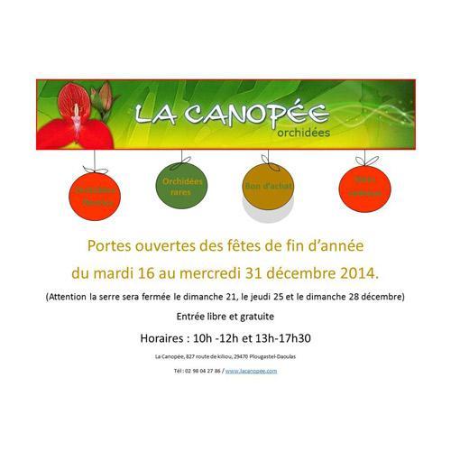 LA CANOPEE : Découvrez les journées portes ouvertes de Noël pour faire le plein d’orchidées tropicales cultivées à Plougastel Daoulas, en Bretagne, près de Brest