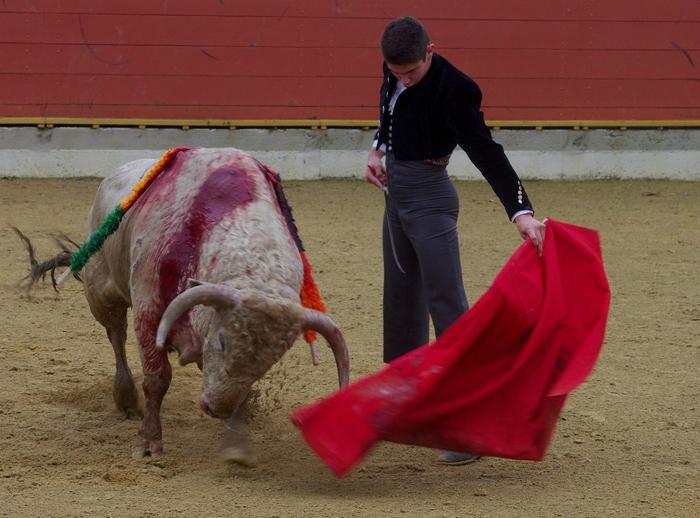 RION DES LANDES LOUIS HUSSON