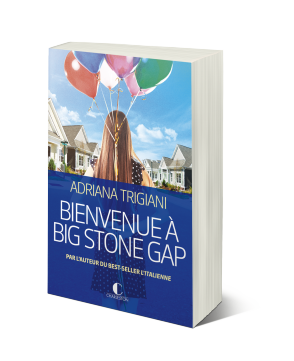 C’est lundi, que lisez-vous ? Bienvenue_a_big_stone_gap_3D