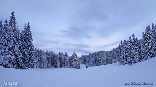 Museum, les doudounes qui vous feront passer le meilleur des hivers ! Museum