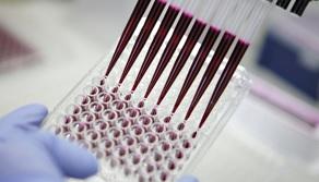 CANCER: 400 planques dans l'ADN pour cacher ses mutations – Cancer Research