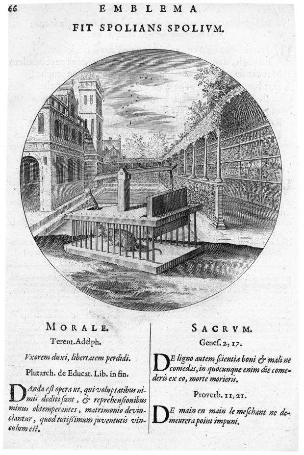 La souricière CatsMonita1620