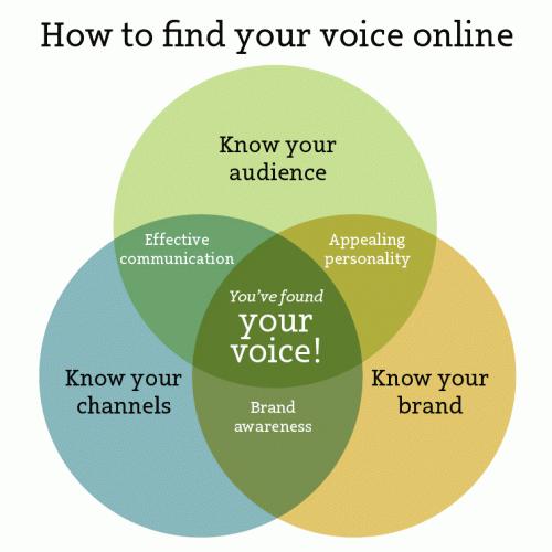 Les méthodes pour être sûr et certain de trouver un bon nom de domaine ! how-to-find-your-voice-online1