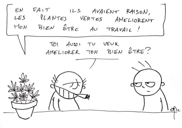 plantes_vertes_bien_etre_travail