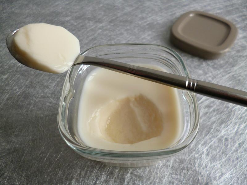 yaourts diététiques maison pauvres en lactose avec Matin Léger de