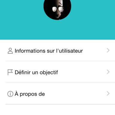 IMG_0753 Test du bracelet connecté Talkband Huawei