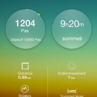 IMG_0750 Test du bracelet connecté Talkband Huawei