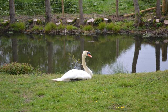 Marks Hall IMG_1016.JPG