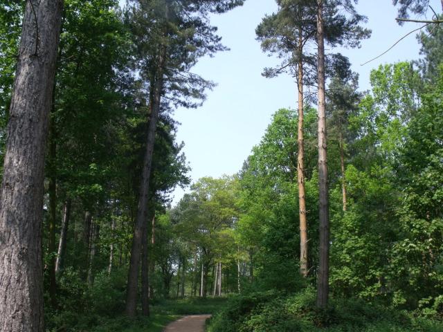 Marks Hall IMG_1022.JPG
