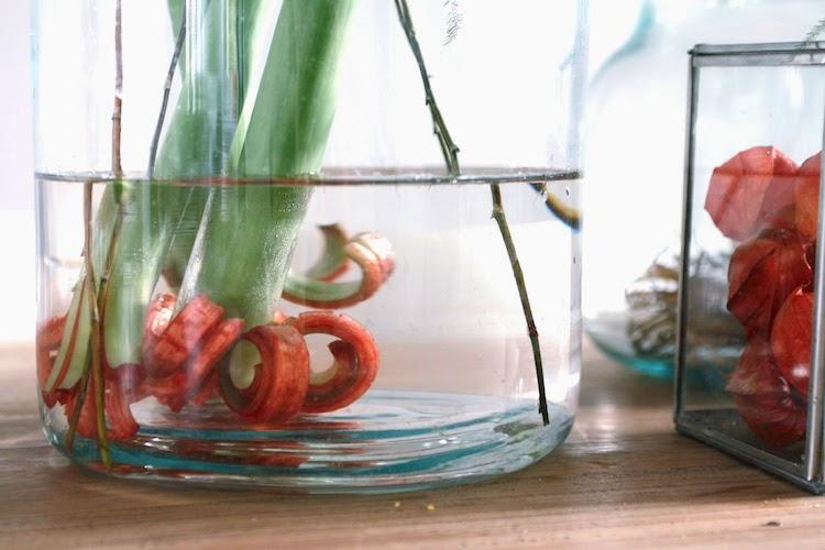 Amaryllis rouge en vase &suus via Nat et nature Semaine 48 sur les blogs déco