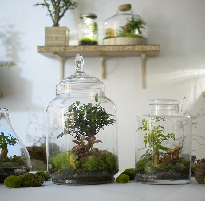 Terrarium Green factory l'art de la curiosité via Nat et nature Semaine 48 sur les blogs déco