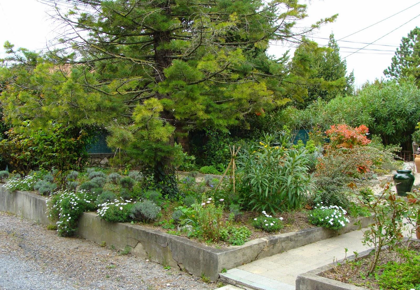 Trois p’tits tours et puits s’en va…la suite… Trois p’tits tours et puits s’en va…la suite…